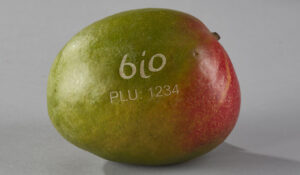 Laser marking on mango